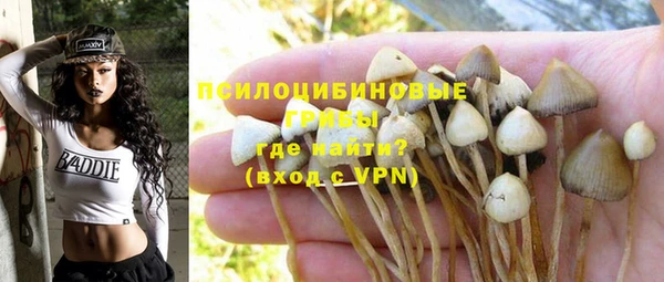 гидра Алзамай