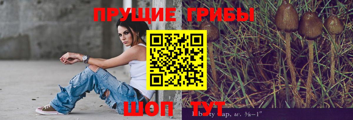 Псилоцибиновые грибы Magic Shrooms  Вход с VPN  Узловая 